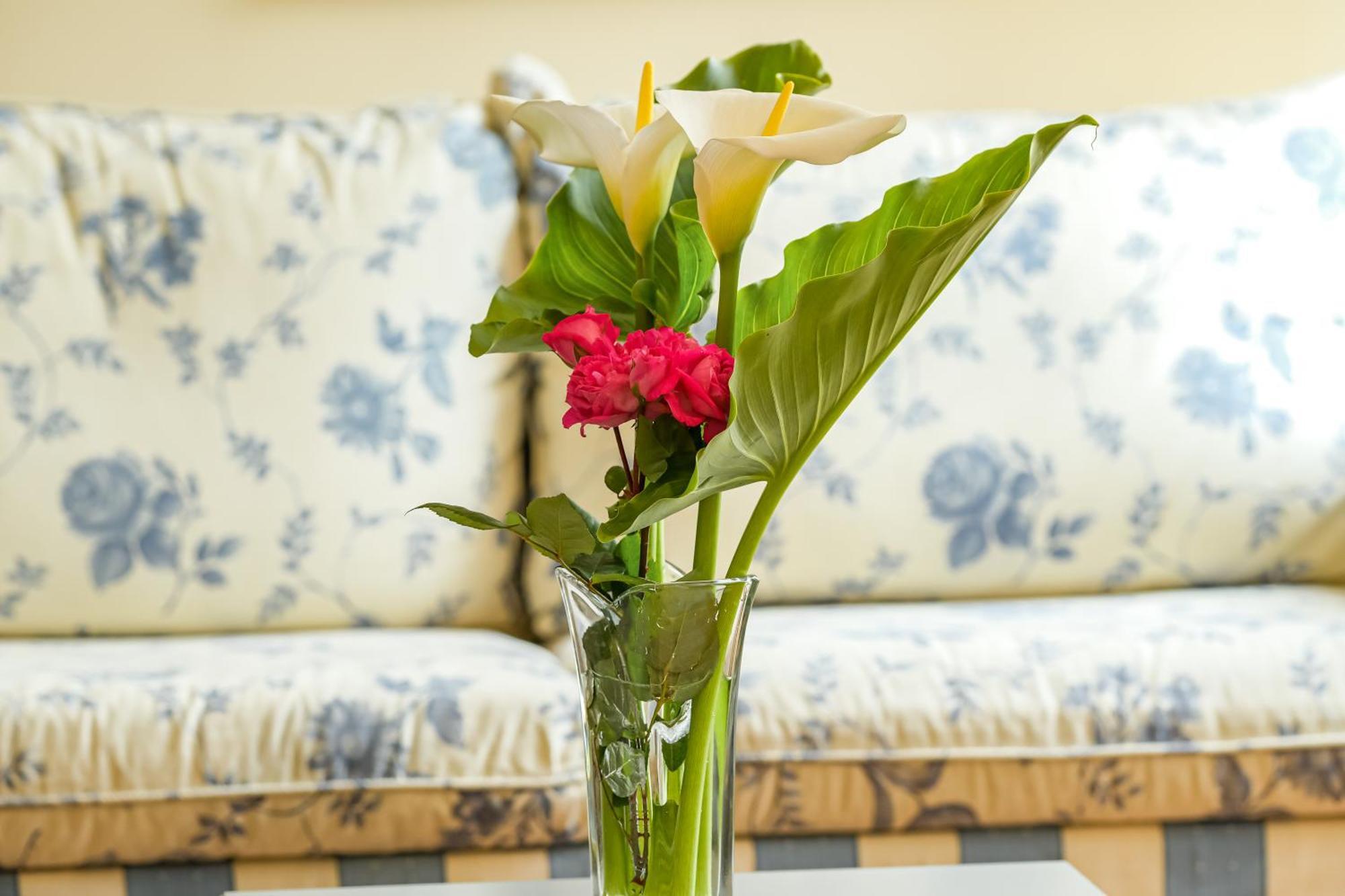 Indiana Boutique Hotel Llanes Luaran gambar